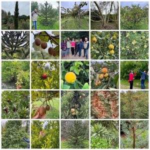 Read more about the article Kivifarmon a csapattal